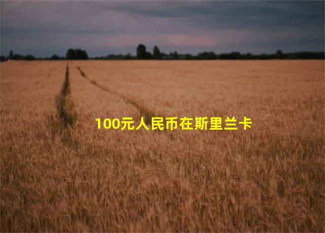 100元人民币在斯里兰卡消费