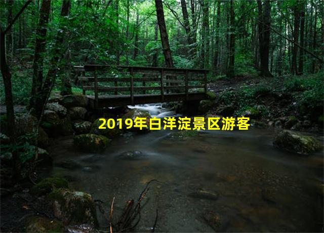 2019年白洋淀景区游客接待量,白洋淀旅游资源