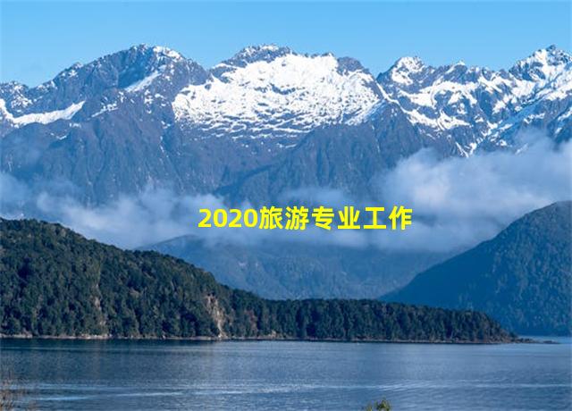 2020旅游专业工作