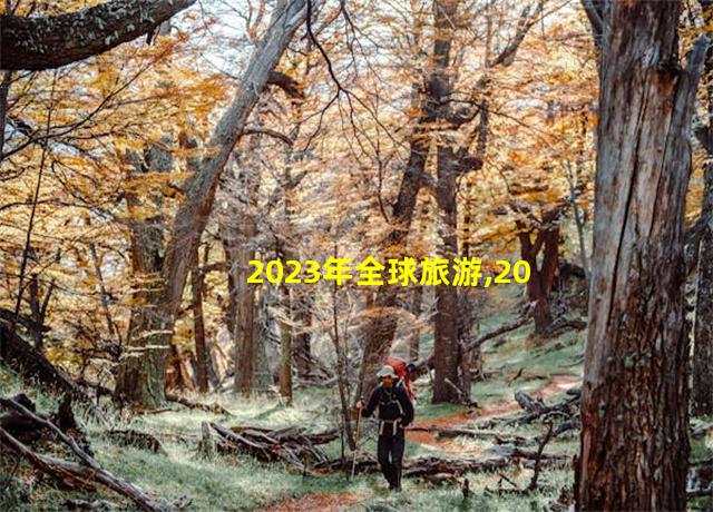 2023年全球旅游,2020全球旅游