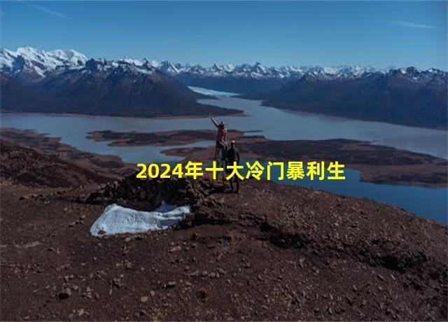 2024年十大冷门暴利生意