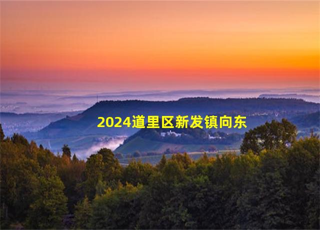 2024道里区新发镇向东村