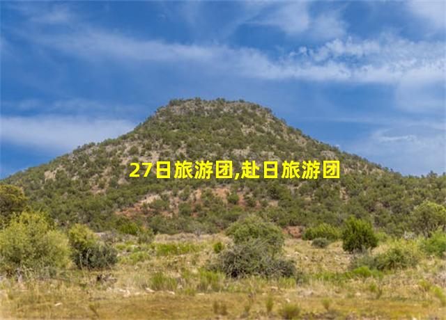 27日旅游团,赴日旅游团最新消息