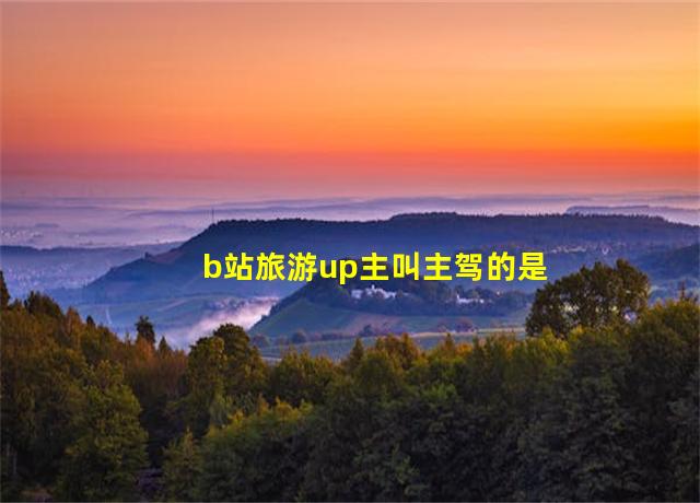 b站旅游up主叫主驾的是谁,b站旅游up主名字推荐