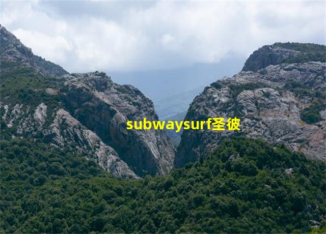 subwaysurf圣彼得堡