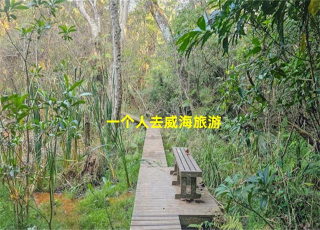 一个人去威海旅游