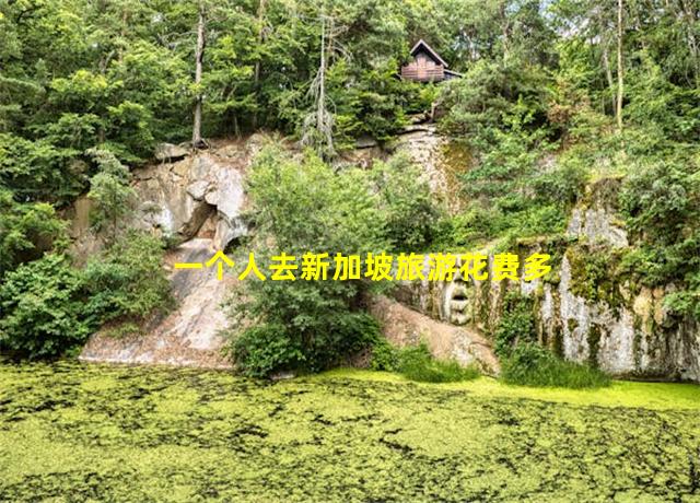 一个人去新加坡旅游花费多少钱,一个人去新加坡旅游怎么办签证