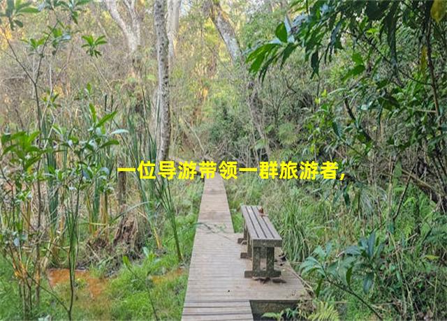 一位导游带领一群旅游者,导游小王带领旅游团队旅游过程中