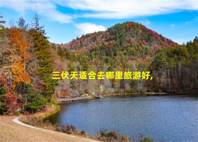 三伏天适合去哪里旅游好,三伏天去哪里玩