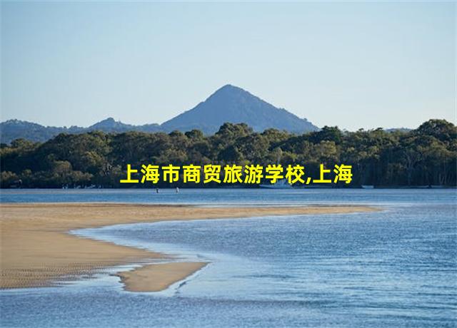 上海市商贸旅游学校,上海市商贸旅游学校分数线