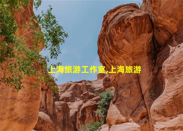 上海旅游工作室,上海旅游工作者先进