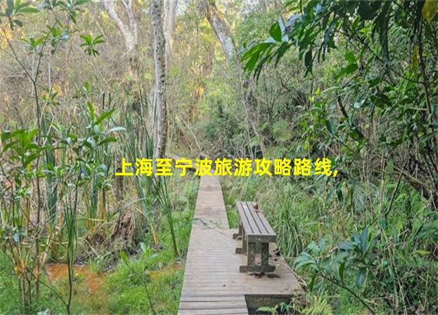 上海至宁波旅游攻略路线,上海至宁波旅游