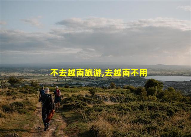 不去越南旅游,去越南不用护照可以吗