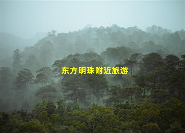 东方明珠附近旅游