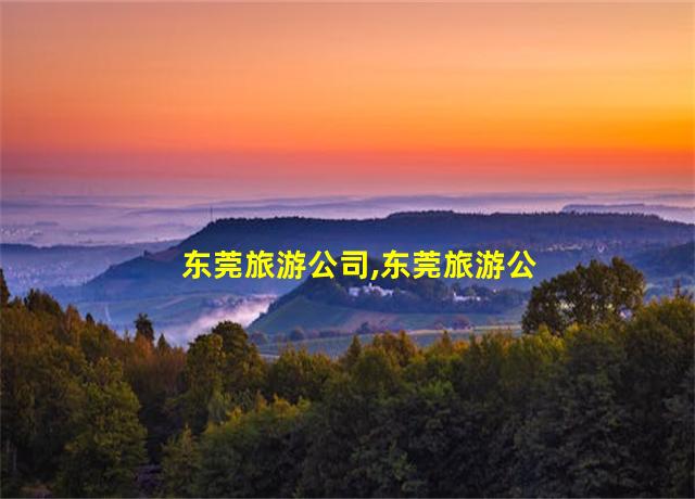 东莞旅游公司,东莞旅游公司排名