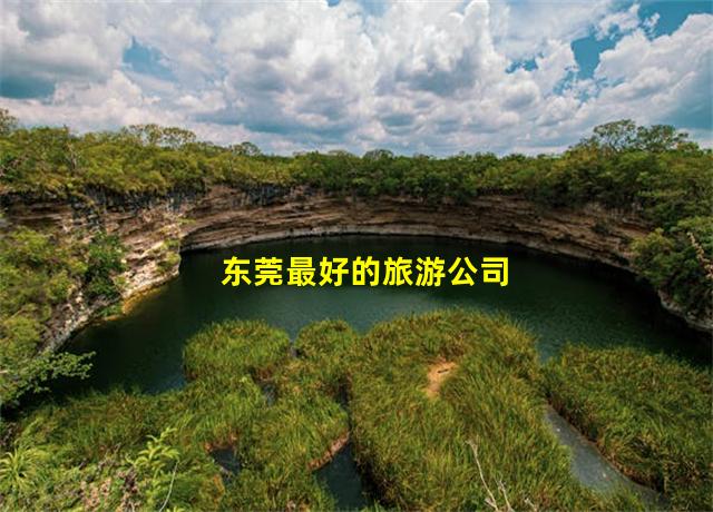 东莞最好的旅游公司