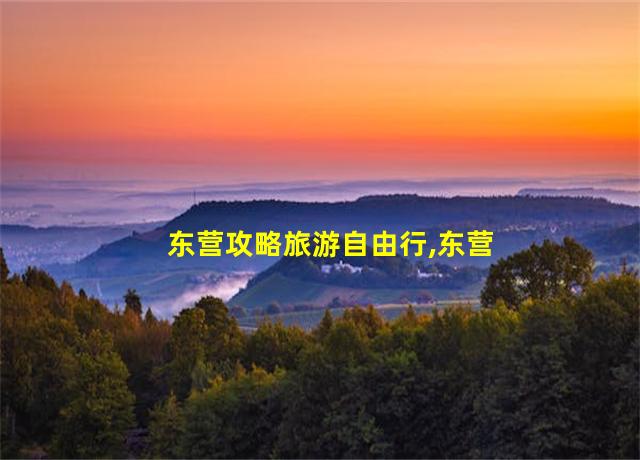 东营攻略旅游自由行,东营旅游攻略