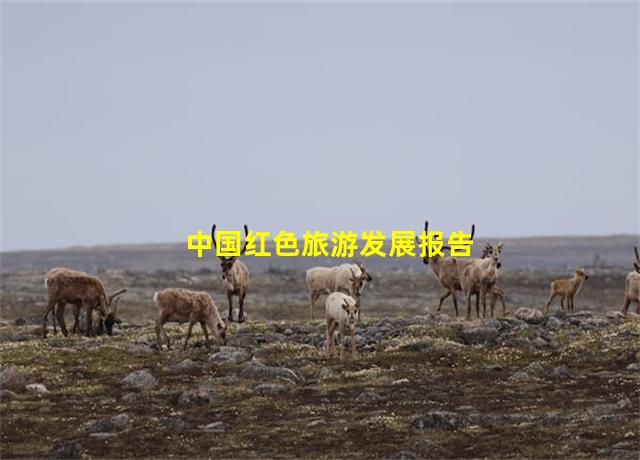 中国红色旅游发展报告