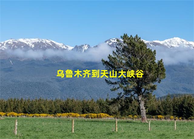 乌鲁木齐到天山大峡谷