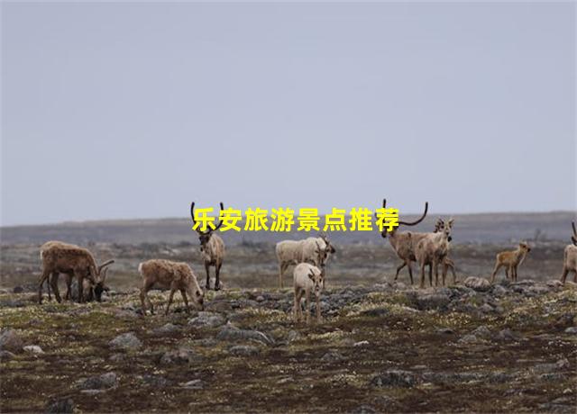 乐安旅游景点推荐