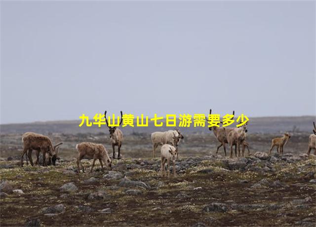 九华山黄山七日游需要多少钱,黄山九华山旅游攻略