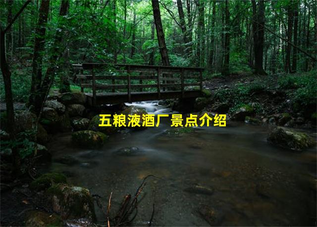 五粮液酒厂景点介绍