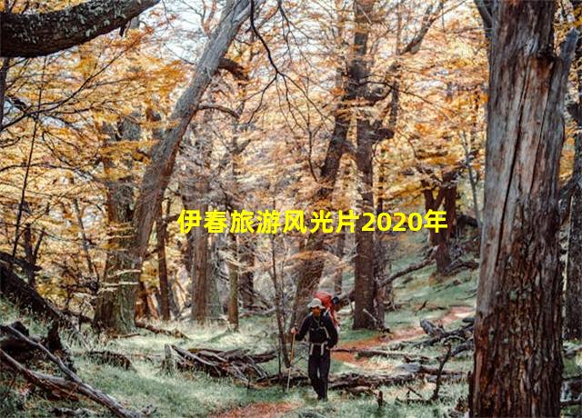 伊春旅游风光片2020年,伊春旅游好玩吗