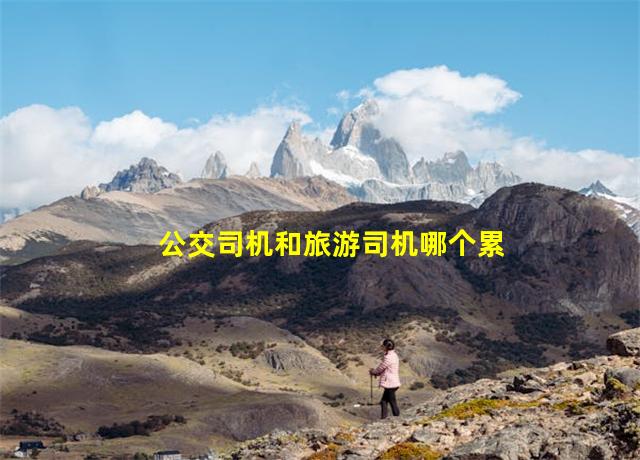 公交司机和旅游司机哪个累,公交司机和旅游司机哪个好