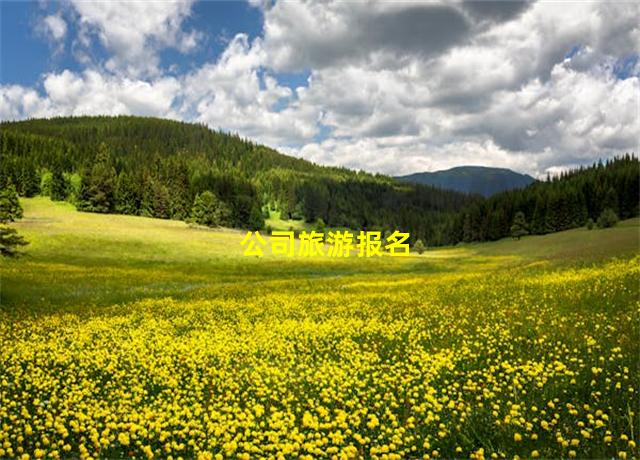 公司旅游报名