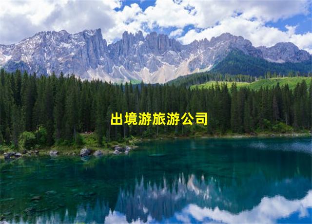 出境游旅游公司