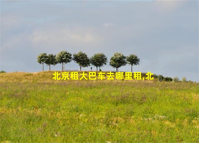 北京租大巴车去哪里租,北京旅游大巴租赁多少钱一天