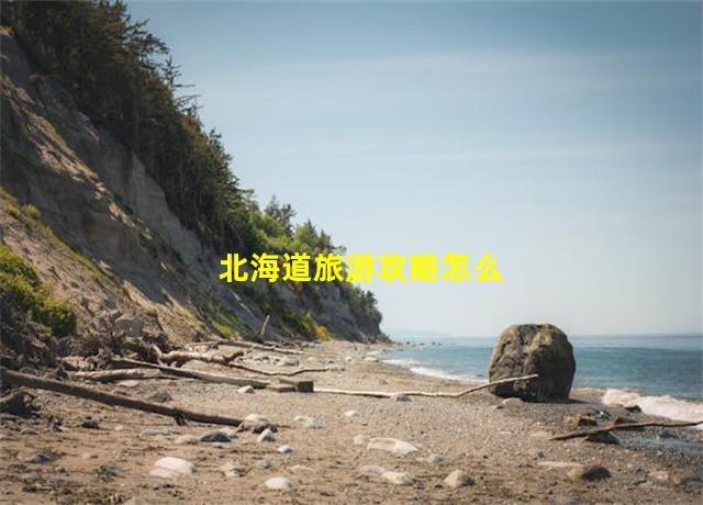 北海道旅游攻略怎么