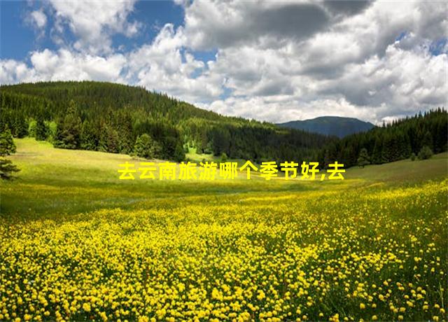 去云南旅游哪个季节好,去云南玩最好的季节