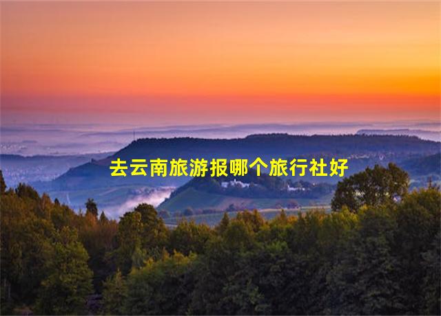 去云南旅游报哪个旅行社好