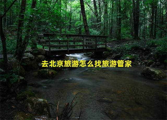 去北京旅游怎么找旅游管家呢,旅游北京跟团旅游