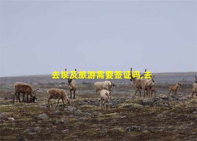 去埃及旅游需要签证吗,去埃及旅游安全吗