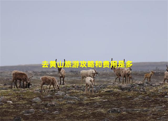 去黄山旅游攻略和费用是多少