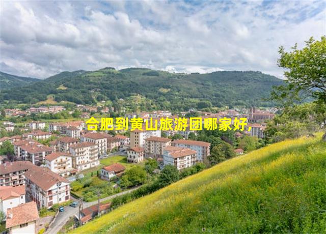 合肥到黄山旅游团哪家好,合肥到黄山旅游团报价表