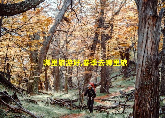 哪里旅游好,春季去哪里旅游好