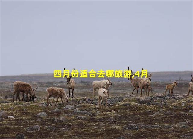 四月份适合去哪旅游,4月适合去哪儿旅游最好