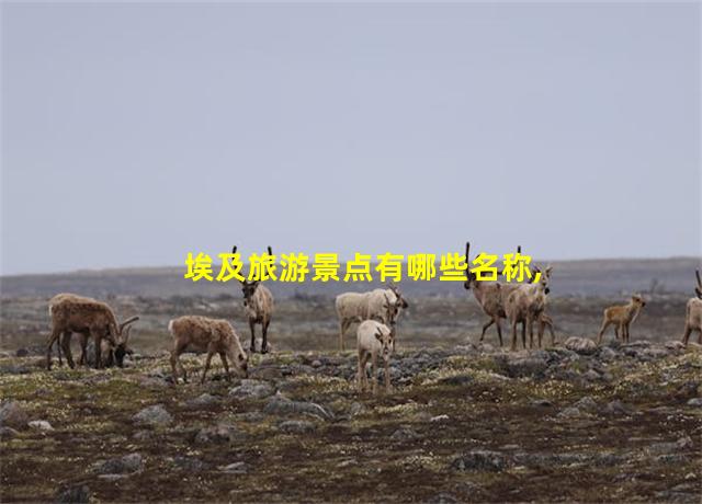 埃及旅游景点有哪些名称,埃及旅游圣地排名