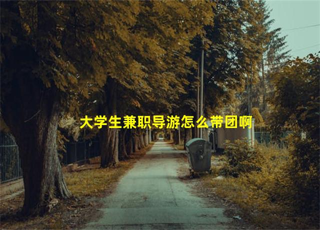 大学生兼职导游怎么带团啊