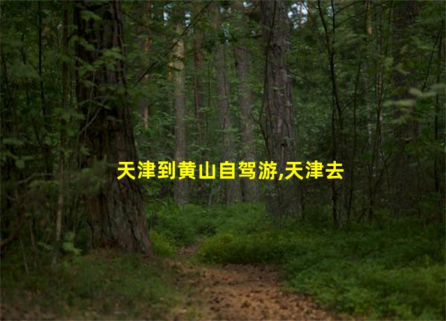 天津到黄山自驾游,天津去黄山旅游攻略自驾游