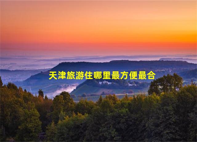 天津旅游住哪里最方便最合适,天津旅游特产店300一斤的鲍鱼片