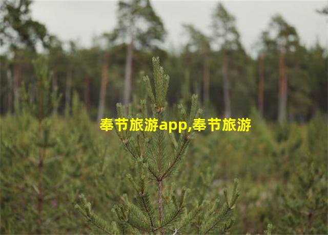 奉节旅游app,奉节旅游攻略自助游攻略