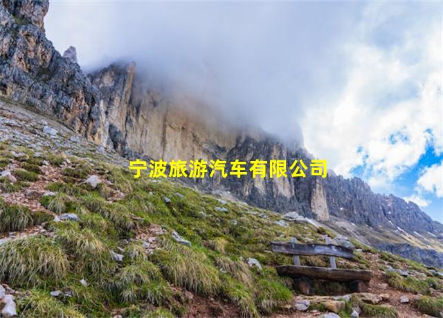 宁波旅游汽车有限公司