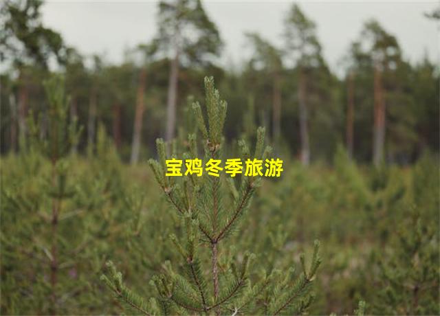 宝鸡冬季旅游