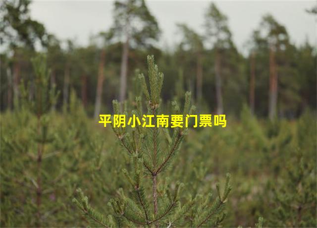 平阴小江南要门票吗