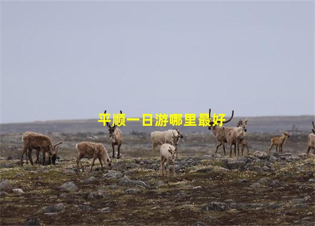 平顺一日游哪里最好