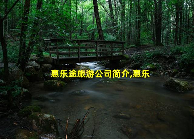 惠乐途旅游公司简介,惠乐途敬业旅游